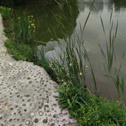 Chinatown Yangon - Yangon