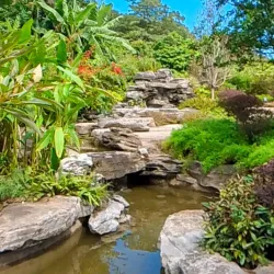 Chinatown Yangon - Yangon