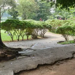 Kandawgyi Lake and Park - Yangon