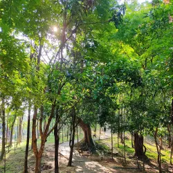 Kandawgyi Lake and Park - Yangon