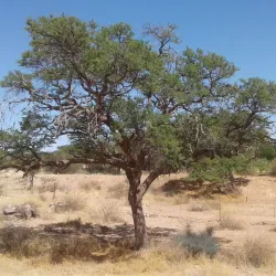 ǁKaras Region Cultural Tours - Karasburg