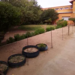 Orange River Border Area - Karasburg