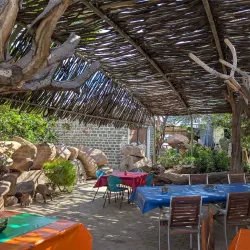 Quiver Tree Forest - Karasburg