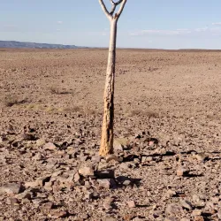 Richtersveld Transfrontier Park - Karasburg