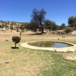 Daan Viljoen Game Reserve - Karibib