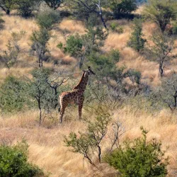 Daan Viljoen Game Reserve - Karibib