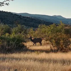 Daan Viljoen Game Reserve - Karibib