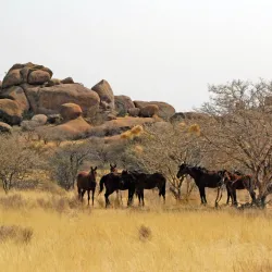 Erongo Mountains - Karibib