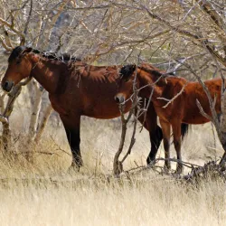 Erongo Mountains - Karibib