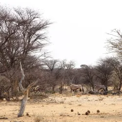 Omaruru Town - Karibib