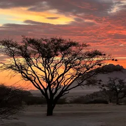 Spitzkoppe - Karibib