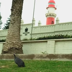 Swakopmund - Karibib