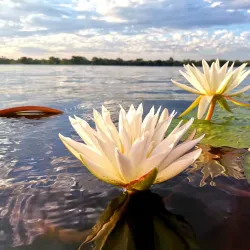 Bird Watching Sites - Katima Mulilo