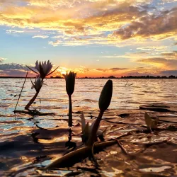 Bird Watching Sites - Katima Mulilo