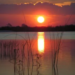 Bird Watching Sites - Katima Mulilo