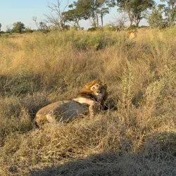 Local Village Tours - Katima Mulilo