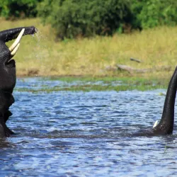 Local Village Tours - Katima Mulilo