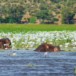 Local Village Tours - Katima Mulilo