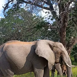 Local Village Tours - Katima Mulilo