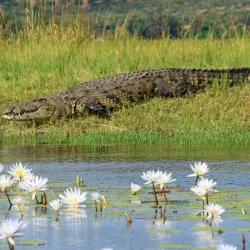 Local Village Tours - Katima Mulilo