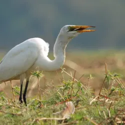Local Village Tours - Katima Mulilo