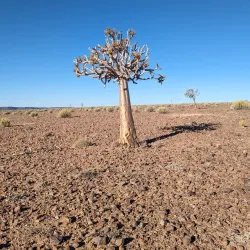 Fish River Canyon (nearby) - Keetmanshoop