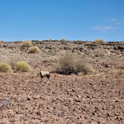 Fish River Canyon (nearby) - Keetmanshoop
