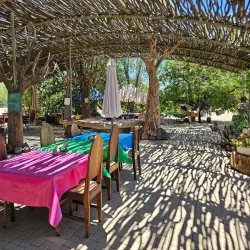 Quiver Tree Forest Rest Camp - Keetmanshoop