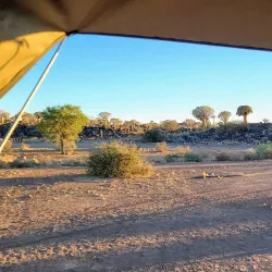 Quiver Tree Forest - Keetmanshoop