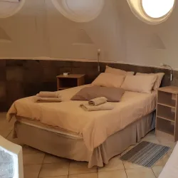 Quiver Tree Forest - Keetmanshoop