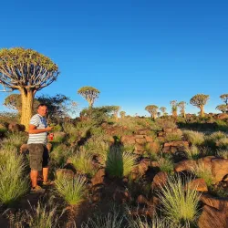 Quiver Tree Forest - Keetmanshoop