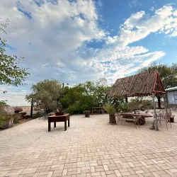 Quiver Tree Forest - Keetmanshoop