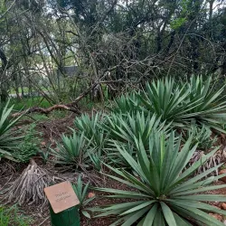 Rietfontein Nature Reserve - Keetmanshoop