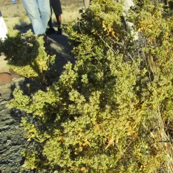 The Giant's Playground - Keetmanshoop