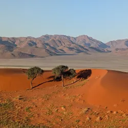 Nearby Nature Reserves - Ongwediva