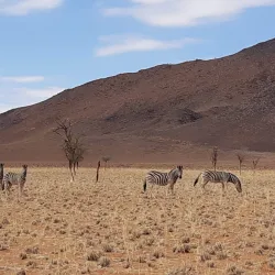Nearby Nature Reserves - Ongwediva