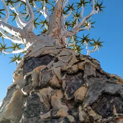 Nearby Nature Reserves - Ongwediva