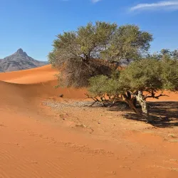 Nearby Nature Reserves - Ongwediva
