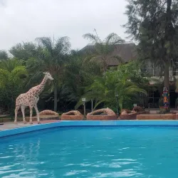 Ongwediva Town Park - Ongwediva