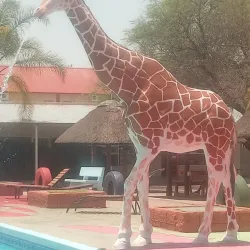 Ongwediva Town Park - Ongwediva