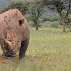 Big Game Park - Otjiwarongo