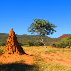 Big Game Park - Otjiwarongo