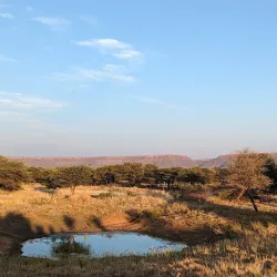 Cheetah Conservation Fund (CCF) - Otjiwarongo