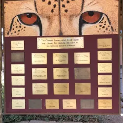 Cheetah Conservation Fund (CCF) - Otjiwarongo