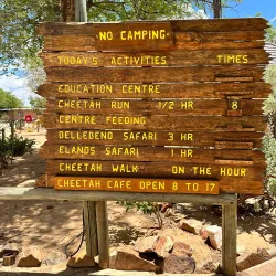 Cheetah Conservation Fund (CCF) - Otjiwarongo