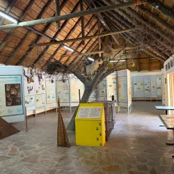 Cheetah Conservation Fund (CCF) - Otjiwarongo