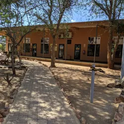 Cheetah Conservation Fund (CCF) - Otjiwarongo