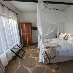 Cheetah Conservation Fund (CCF) - Otjiwarongo