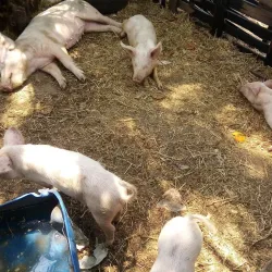 Local Community Cultural Tours - Otjiwarongo