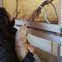 Namibia Snake Park - Otjiwarongo